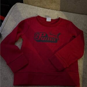 Puma Bold Red Hoodie